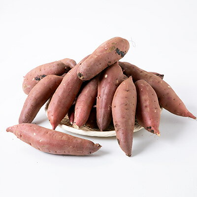 【ふるさと納税】かすみがうら市産　さつまいも(紅はるか)約5kg_ さつまいも 薩摩芋 芋 いも 紅はるか 人気 おすすめ 送料無料 贈答 ギフト プレゼント 茨城 かすみがうら市 5kg 【1103815】 - 画像2