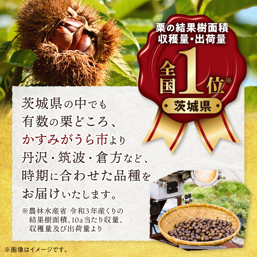 【ふるさと納税】かすみがうら市産　焼き栗　250g×4袋　(冷凍)_ 焼き栗 栗 焼栗 やきぐり 国産 くり クリ 和栗 マロン おやつ スイーツ 和菓子 冷凍 茨城県 ギフト プレゼント 送料無料 【配送不可地域：離島】【1350919】 サムネイル2