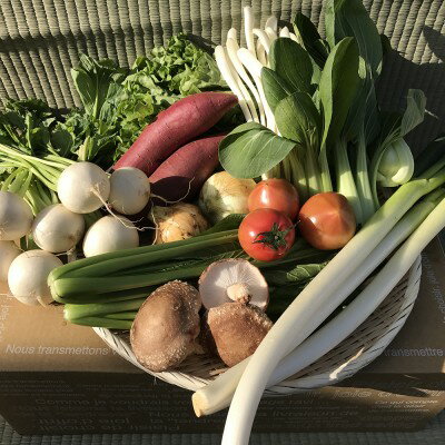 ＜12ヶ月定期便＞ 自然栽培野菜10～12品目 3・4月は玄米5kg 自然栽培 野菜 旬 セット 詰め合わせ 定期便 神栖市 茨城県 送料無料