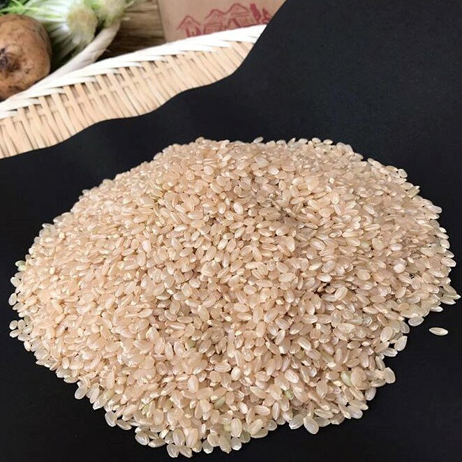 【ふるさと納税】＜栽培期間農薬不使用＞ 玄米2kgと季節の野菜（4～5品）のセット 4～5品 自然栽培 野菜 旬 セット 詰め合わせ 神栖市 茨城県 送料無料 【2025年9月より順次発送開始】 - 画像2