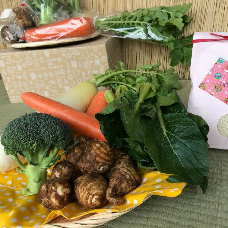 ＜栽培期間農薬不使用＞ 白米2kgと季節の野菜 4～5品 自然栽培 野菜 旬 セット 詰め合わせ 神栖市 茨城県 送料無料【2025年9月より順次発送開始】