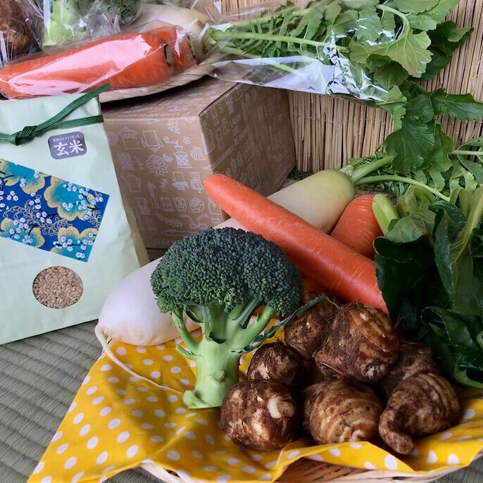 ＜栽培期間農薬不使用＞ 玄米2kgと季節の野菜（4～5品）のセット 4～5品 自然栽培 野菜 旬 セット 詰め合わせ 神栖市 茨城県 送料無料 【2025年9月より順次発送開始】