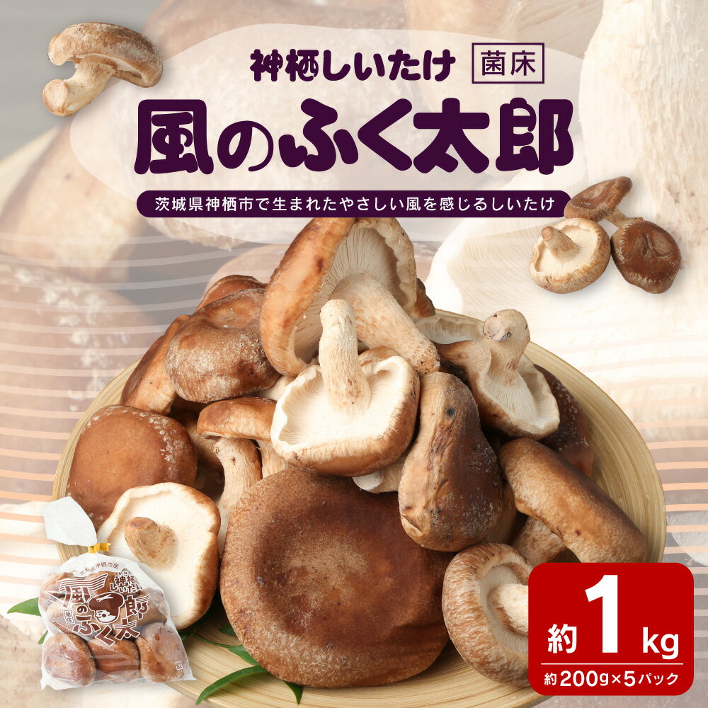 【ふるさと納税】神栖市 しいたけ 風のふくたろう 1kg 200g×5袋 きのこ 椎茸 菌床 茨城県 神栖市 送料無料 - 画像2
