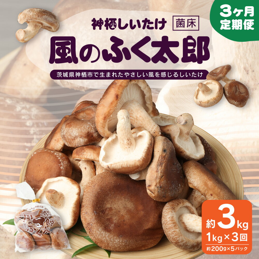 【ふるさと納税】定期便3回 神栖市 しいたけ 風のふくたろう 3kg 1kg ( 200g×5袋 )× 3回 きのこ 椎茸 菌床 茨城県 神栖市 送料無料 - 画像2