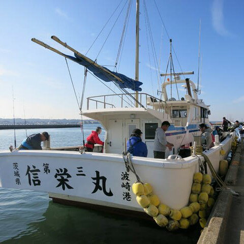 【ふるさと納税】釣り船乗船券 信栄丸 1名様分 初心者 安心 サポート 親切 丁寧 スタッフ5人体制 レンタタックル 宿泊なし 食事なし 体験 神栖市 楽天スーパーSALE 9月開催 サムネイル2