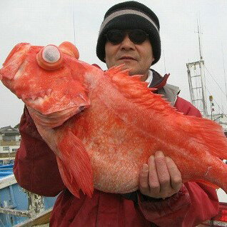 【ふるさと納税】釣り船乗船券 第三東洋丸 1名様分 根魚 アカムツ ヒラメ 中深場 シーズン フィッシング チャレンジ 宿泊なし 食事なし 体験 神栖市 楽天スーパーSALE 9月開催 サムネイル3