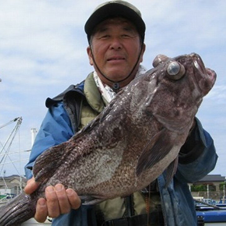 【ふるさと納税】釣り船乗船券 第三東洋丸 1名様分 根魚 アカムツ ヒラメ 中深場 シーズン フィッシング チャレンジ 宿泊なし 食事なし 体験 神栖市 楽天スーパーSALE 9月開催 サムネイル2
