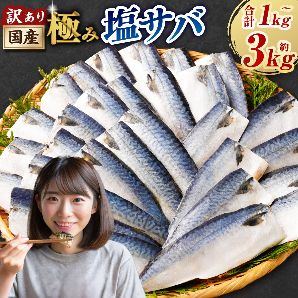 ＜選べる内容量＞訳あり 国産ふっくら 極み塩サバ 1切れ約50～150g 約1kg 約2kg 約3kg さば 鯖 魚 さかな サカナ 魚介類 味付け済 焼くだけ 簡単調理 冷凍 国産 茨城県 神栖市 送料無料