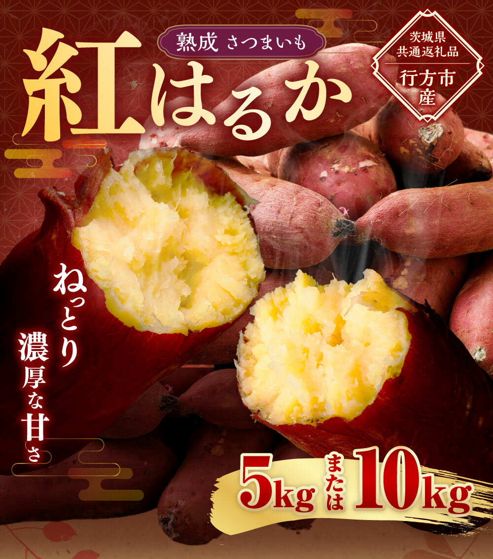 【ふるさと納税】“熟成”茨城県産さつまいも【紅はるか】約5kg 約10kg (茨城県共通返礼品・行方市産） さつまいも サツマイモ さつま芋 芋 いも 野菜 茨城県 神栖市 送料無料 - 画像2