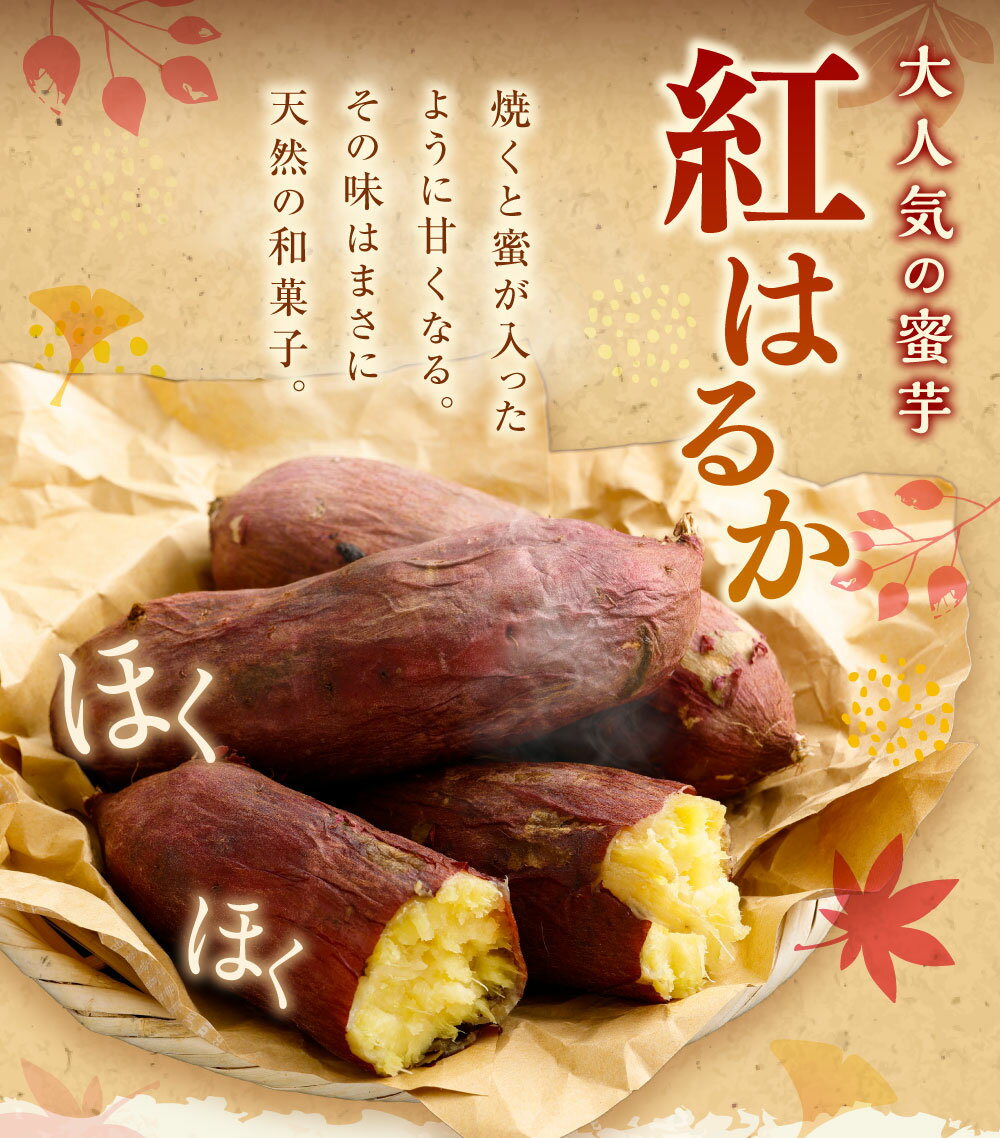 【ふるさと納税】“熟成”茨城県産さつまいも【紅はるか】約5kg 約10kg (茨城県共通返礼品・行方市産） さつまいも サツマイモ さつま芋 芋 いも 野菜 茨城県 神栖市 送料無料 - 画像3