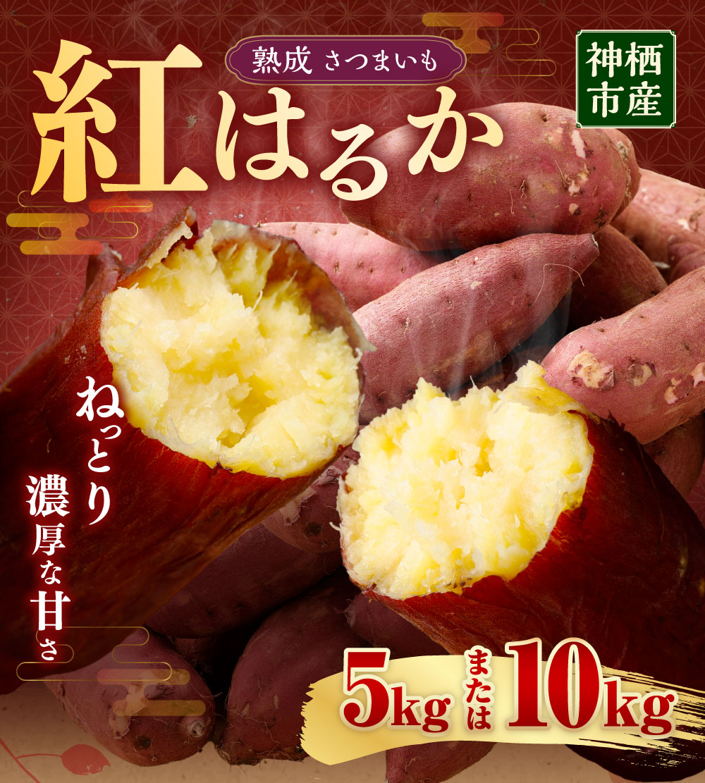 【ふるさと納税】〈選べる容量〉“熟成”神栖市産さつまいも（紅はるか） 約5kg 約10kg さつまいも サツマイモ さつま芋 芋 いも 野菜 茨城県 神栖市 送料無料 - 画像2