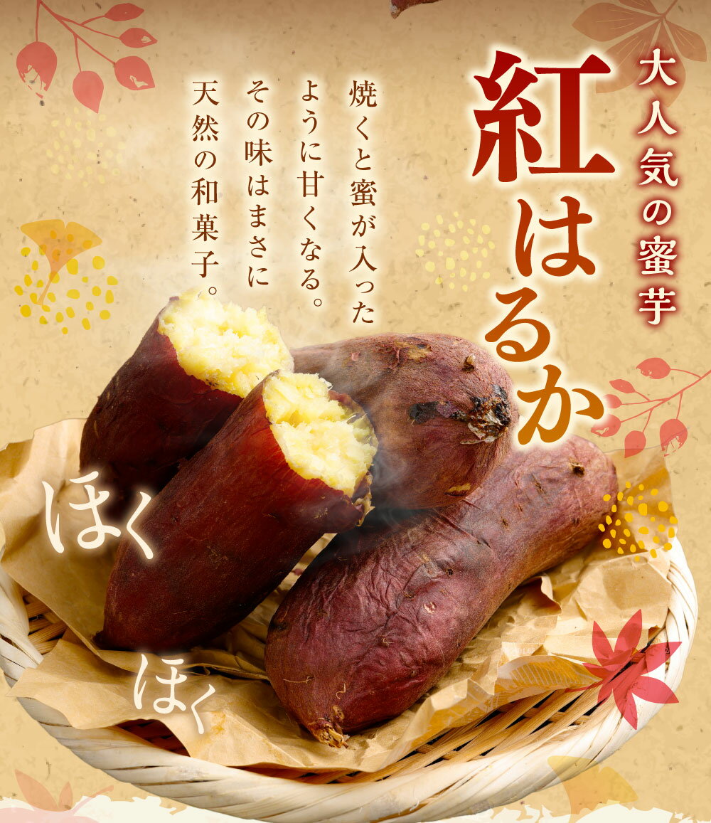 【ふるさと納税】〈選べる容量〉“熟成”神栖市産さつまいも（紅はるか） 約5kg 約10kg さつまいも サツマイモ さつま芋 芋 いも 野菜 茨城県 神栖市 送料無料 - 画像3