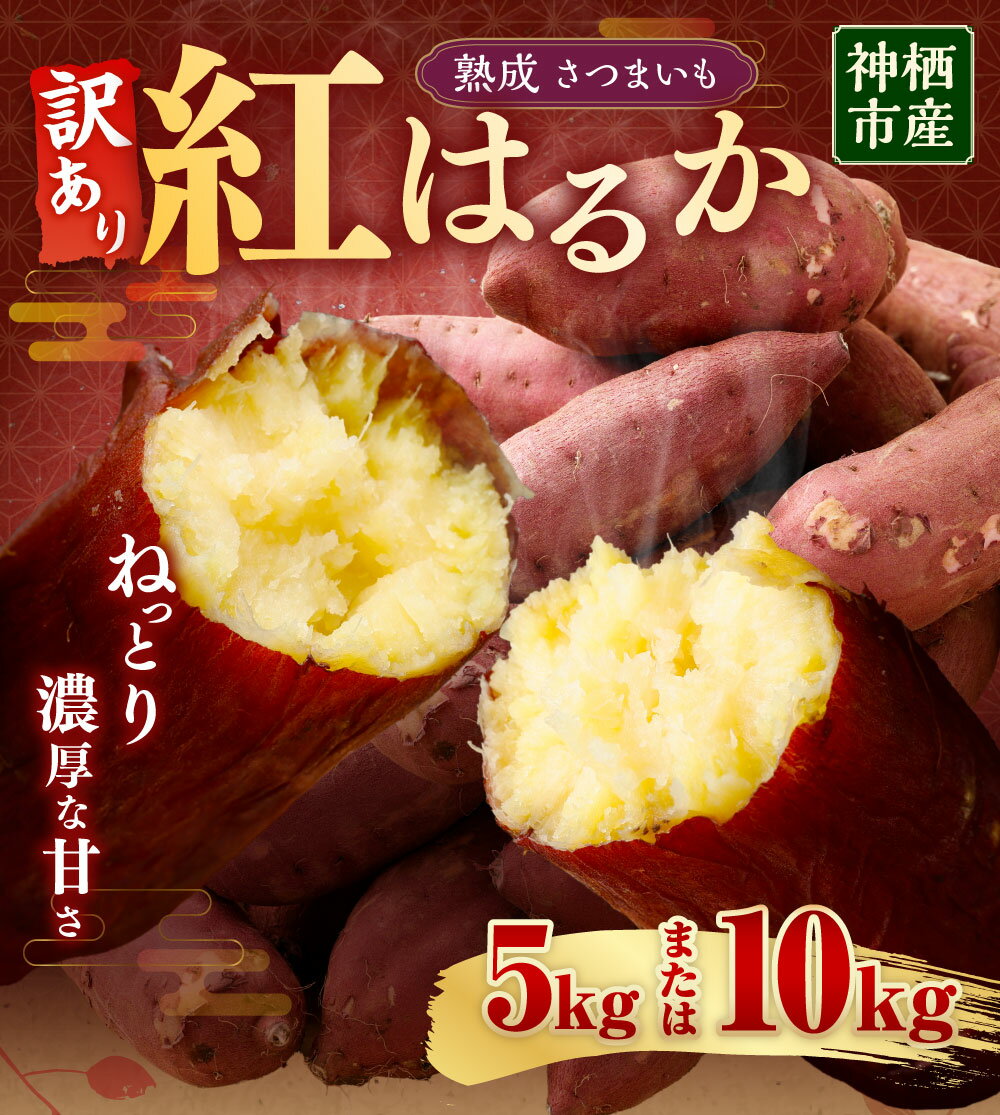 【ふるさと納税】“熟成”神栖市産さつまいも（紅はるか） 訳あり 約5kg 約10kg さつまいも サツマイモ さつま芋 芋 いも 訳あり 不揃い 自宅用 野菜 茨城県 神栖市 送料無料 - 画像2