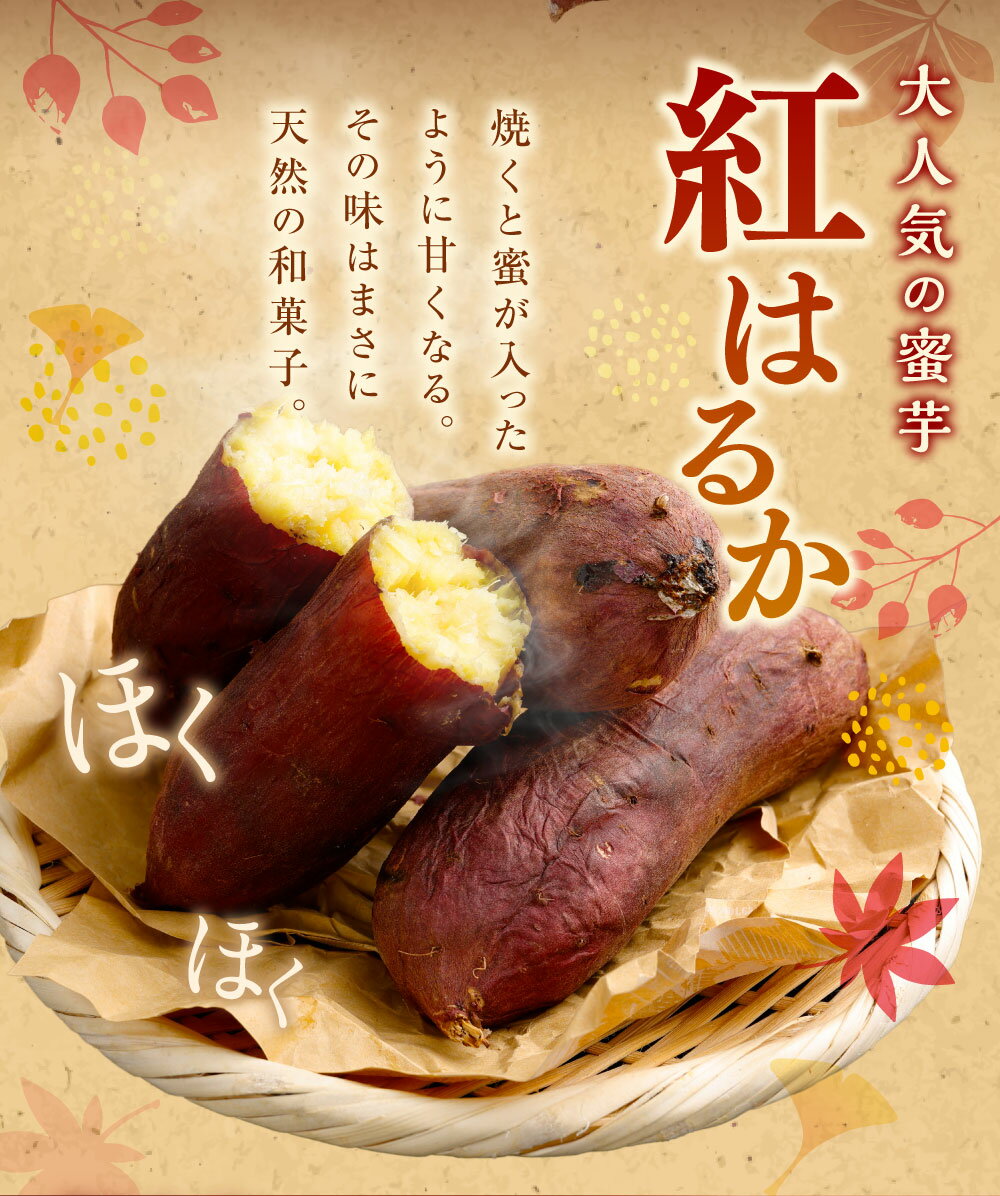 【ふるさと納税】“熟成”神栖市産さつまいも（紅はるか） 訳あり 約5kg 約10kg さつまいも サツマイモ さつま芋 芋 いも 訳あり 不揃い 自宅用 野菜 茨城県 神栖市 送料無料 - 画像3