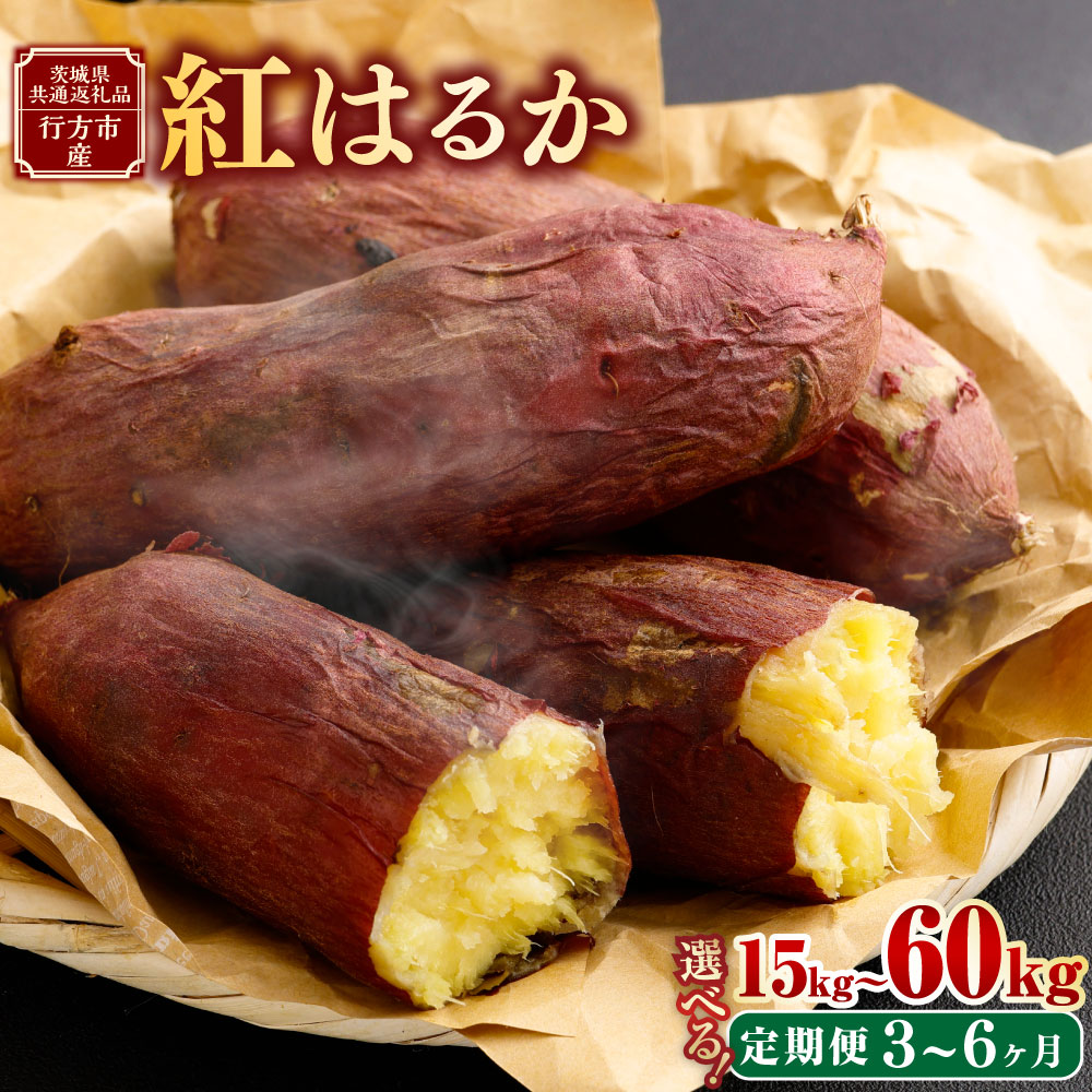 【選べる定期便】“熟成” 茨城県産 さつまいも【紅はるか】約5kg または 約10kg (茨城県共通返礼品・行方市産）サツマイモ さつま芋 芋 いも 野菜 選べる 定期便 3～6回 茨城県 神栖市 送料無料