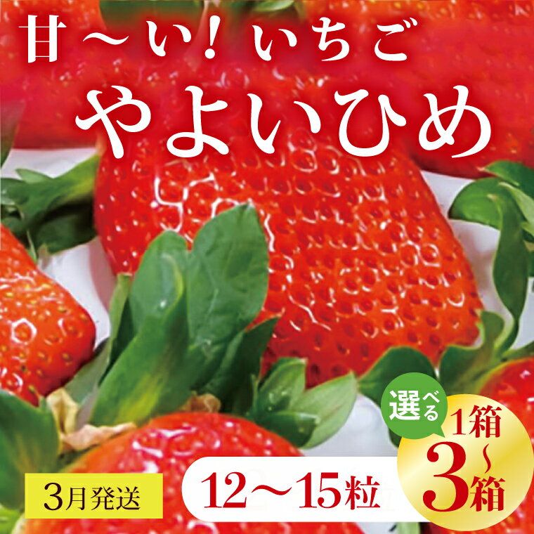 【選べる内容量】【2026年3月発送】甘～い！いちご　やよいひめ　12粒～15粒入り　3～1箱(V-18)