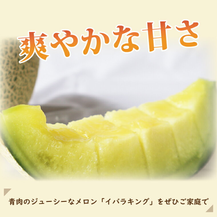 【ふるさと納税】【先行予約】【2026年5月より順次発送】【選べる品種・内容量】関口さんちのイバラキングメロン・クインシーメロン｜メロン クインシーメロン イバラキングメロン 特大玉 プレミアムサイズ フルーツ 果物 くだもの 先行予約 茨城県 行方市（BW-15） サムネイル3