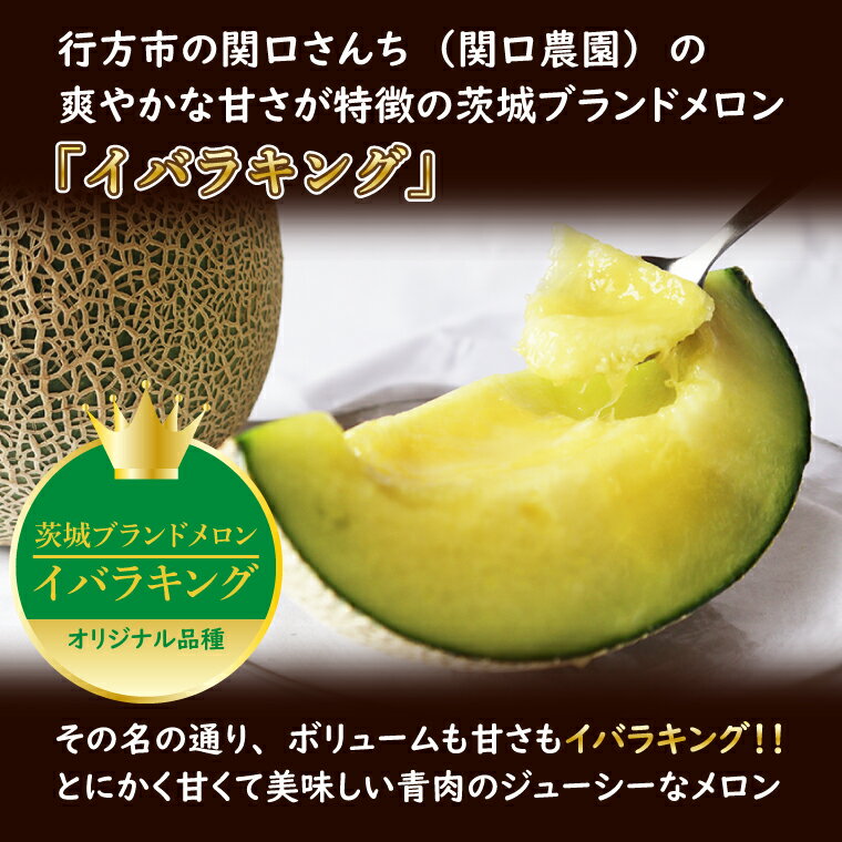 【ふるさと納税】【先行予約】【2026年5月より順次発送】【選べる品種・内容量】関口さんちのイバラキングメロン・クインシーメロン｜メロン クインシーメロン イバラキングメロン 特大玉 プレミアムサイズ フルーツ 果物 くだもの 先行予約 茨城県 行方市（BW-15） サムネイル2