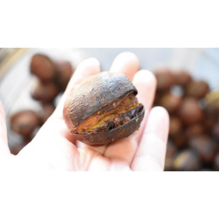 【ふるさと納税】【2025年10月中旬より順次発送】なめがたの焼き栗(300g×2袋)｜栗 焼き栗 焼栗 くり クリ 熟成 真空 真空パック 先行予約 茨城県 行方市(CS-5) サムネイル3