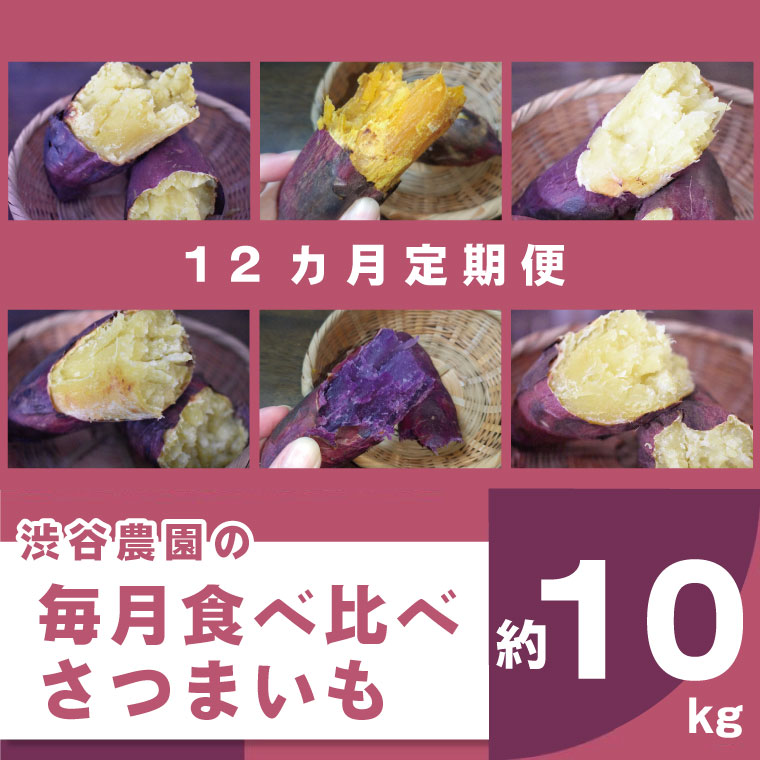【12ヶ月定期便】渋谷農園の毎月食べ比べさつまいも 約10kg｜さつまいも サツマイモ さつま芋 お芋 食べ比べ 定期便 毎月 紅はるか きみまろこ シルクスイート 栗かぐや 渋谷農園 さつまいも博 茨城県産 茨城県 行方市(BZ-22)