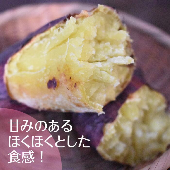 【ふるさと納税】【先行予約】【2024年11月より順次発送】2024年度産 ホクホクで甘いさつまいも　『すずほっくり』約5kg(BZ-13) サムネイル2