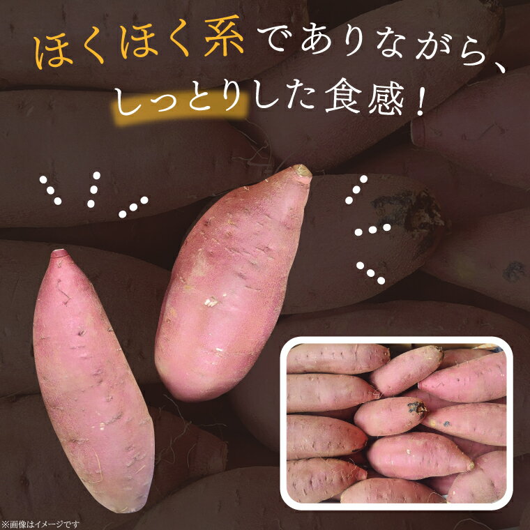 【ふるさと納税】2025年度産 さつまいも 栗かぐや 約2～10kg｜さつまいも 芋 お芋 栗かぐや 渋谷農園 茨城県 行方市(BZ-50) - 画像2