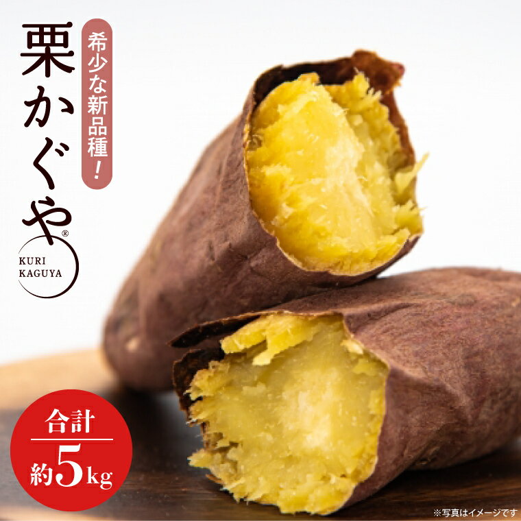 【2026年7月より順次発送】希少な新品種！7月限定「行方の黄福(栗かぐや)」さつまいも 約5kg｜さつまいも サツマイモ さつま芋 お芋 希少 新品種 栗かぐや 先行予約 茨城県 行方市(AE-88)