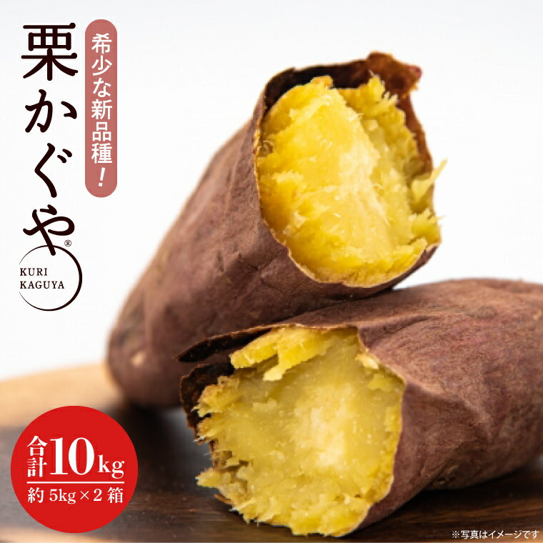 【2026年7月より順次発送】希少な新品種！7月限定「行方の黄福(栗かぐや)」さつまいも 約10kg｜さつまいも サツマイモ さつま芋 お芋 希少 新品種 栗かぐや 先行予約 茨城県 行方市(AE-89)