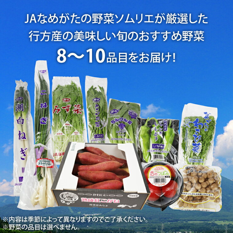 【ふるさと納税】【『行方かんしょ』入り】JA　季節の野菜＆芋焼酎(AE-5) - 画像2