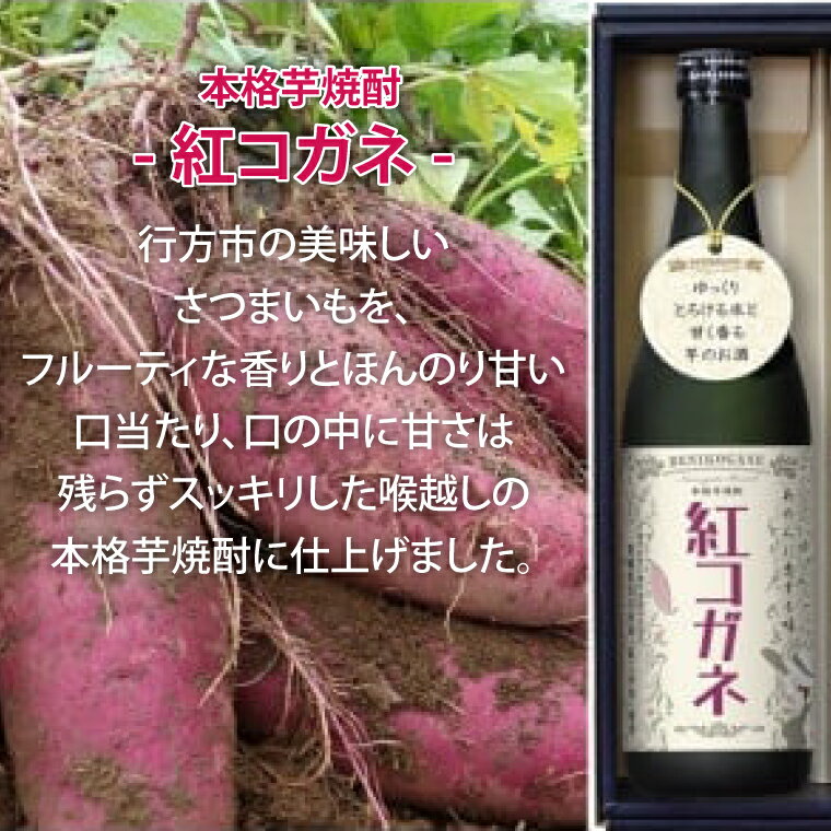 【ふるさと納税】【『行方かんしょ』入り】JA　季節の野菜＆芋焼酎(AE-5) - 画像3