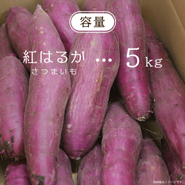 【ふるさと納税】【2026年1月より順次発送】農産物直売所「やさいの声」熟成紅はるか 洗い 約5kg|さつまいも サツマイモ 紅はるか 熟成 洗い 行方市 ふるさと納税(EK-12) - 画像2