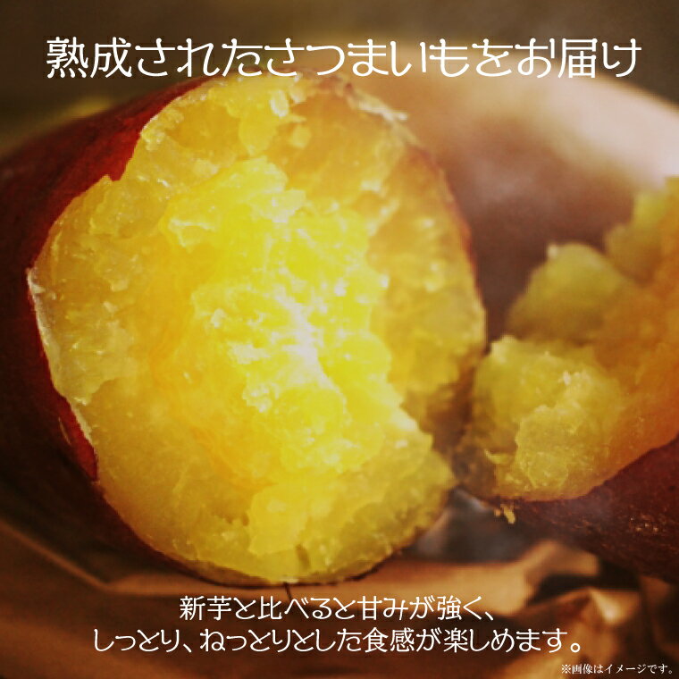 【ふるさと納税】【2026年1月より順次発送】農産物直売所「やさいの声」熟成紅はるか 洗い 約5kg|さつまいも サツマイモ 紅はるか 熟成 洗い 行方市 ふるさと納税(EK-12) - 画像3