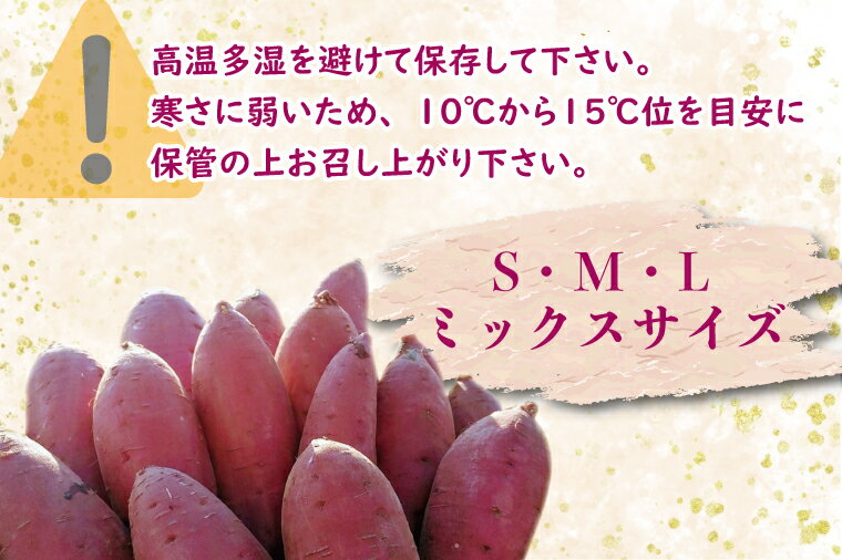 【ふるさと納税】【2026年2月中旬より順次発送】野原さんちのさつまいも 紅まさり 約10kg｜芋 さつまいも サツマイモ お芋 いも 紅まさり 期間限定 先行予約 茨城県 行方市(EL-2) - 画像3