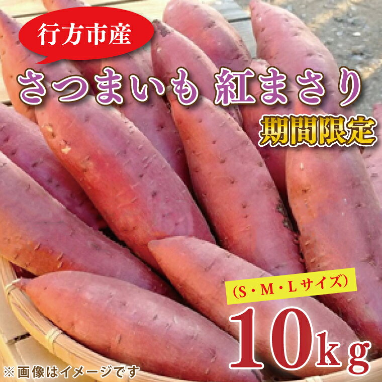 【2026年2月中旬より順次発送】野原さんちのさつまいも 紅まさり 約10kg｜芋 さつまいも サツマイモ お芋 いも 紅まさり 期間限定 先行予約 茨城県 行方市(EL-2)