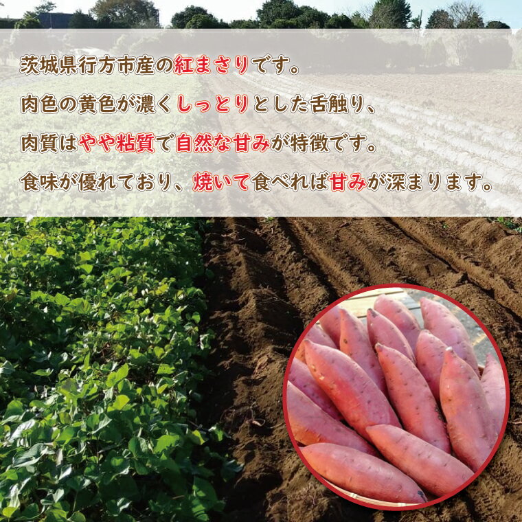 【ふるさと納税】【2026年2月中旬より順次発送】野原さんちのさつまいも 紅まさり 約10kg｜芋 さつまいも サツマイモ お芋 いも 紅まさり 期間限定 先行予約 茨城県 行方市(EL-2) - 画像2