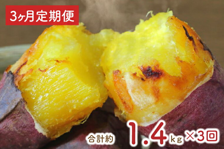 【3ヶ月定期便】★少し大きめサイズ★熟成紅はるか冷凍焼き芋約1.2kg＋おまかせ品種さつまいも 合計約1.4kg｜さつまいも サツマイモ さつま芋 焼き芋 やきいも 冷凍 冷凍焼き芋 紅はるか 定期便 茨城県 行方市(EY-10)