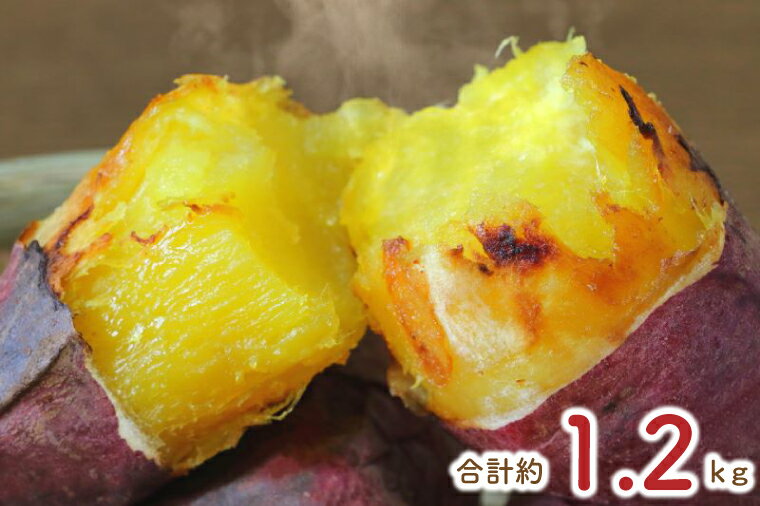 【3ヶ月定期便】★少し大きめサイズ★熟成紅はるか冷凍焼き芋約1kg＋おまかせ品種さつまいも 合計約1.2kg｜さつまいも サツマイモ さつま芋 焼き芋 やきいも 冷凍 冷凍焼き芋 紅はるか 定期便 茨城県 行方市(EY-10)