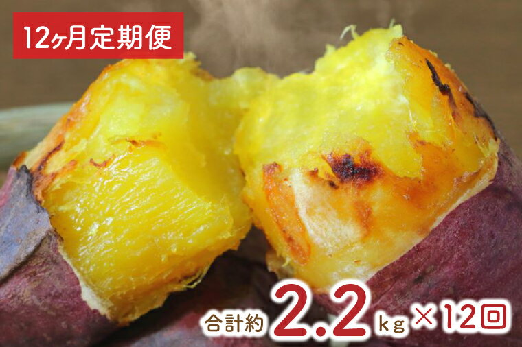 【12ヶ月定期便】熟成紅はるかの冷凍焼き芋約2kg＋おまかせ品種さつまいも　合計約2.2kg！（EY-20）