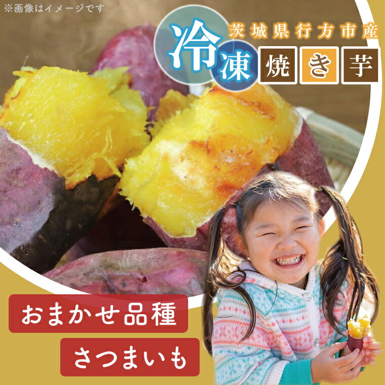 【ふるさと納税】【2025年12月より順次発送】★訳あり★紅はるか冷凍焼き芋約1.5kg＋おまかせ品種さつまいも　合計約1.7kg｜さつまいも サツマイモ さつま芋 焼き芋 やきいも 冷凍 冷凍焼き芋 訳あり 訳アリ 紅はるか 茨城県 行方市(EY-26) サムネイル2