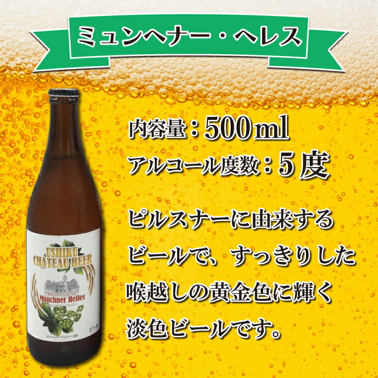 【ふるさと納税】牛久シャトービール3種類6本セット（茨城県共通返礼品 牛久市） 地ビール クラフトビール お酒 飲み比べ 詰め合わせ セット お土産 お祝い 贈り物 ギフト 贈答 記念日 国産 茨城｜FI-1 サムネイル2