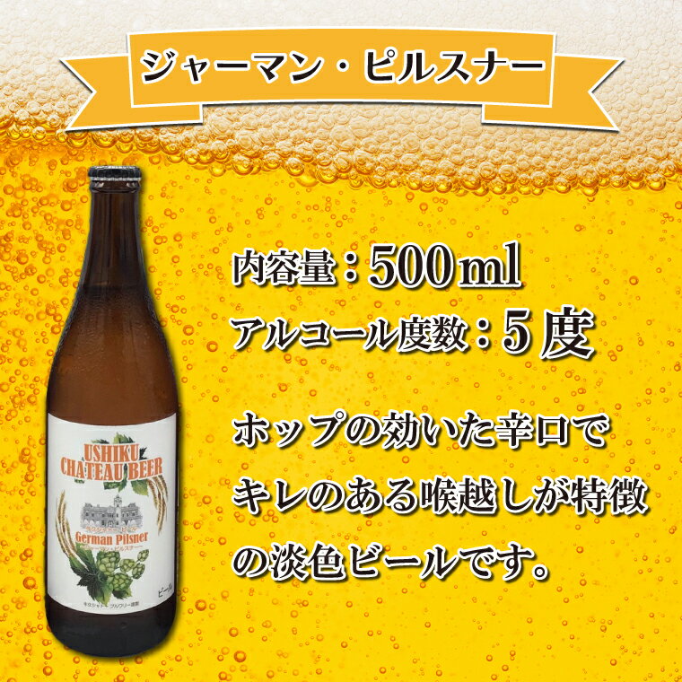 【ふるさと納税】牛久シャトービール3種類6本セット（茨城県共通返礼品 牛久市） 地ビール クラフトビール お酒 飲み比べ 詰め合わせ セット お土産 お祝い 贈り物 ギフト 贈答 記念日 国産 茨城｜FI-1 サムネイル3