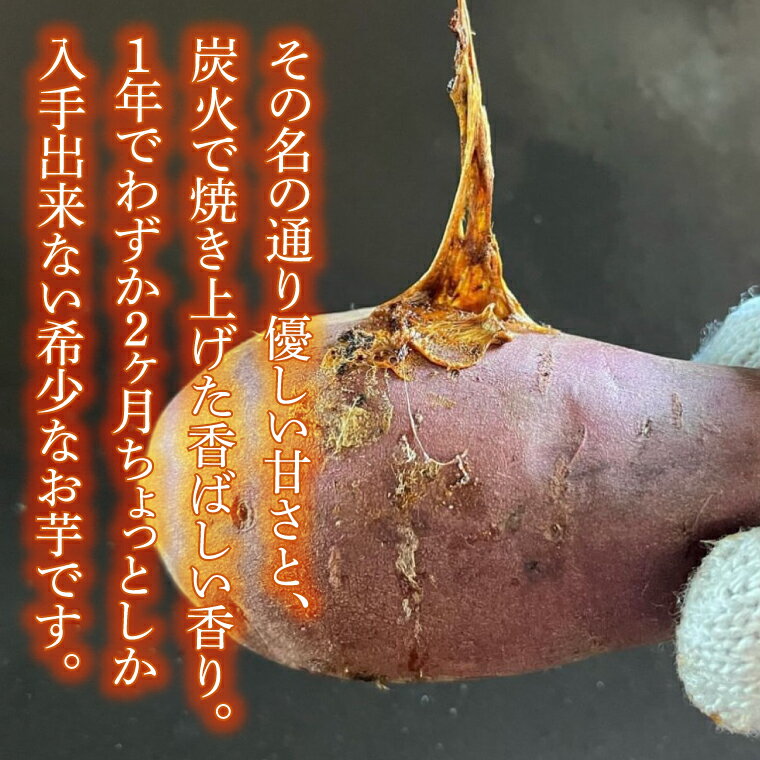 【ふるさと納税】【日本最大級のサツマイモの祭典、さつまいも博2024 出店】はるの優しさ(冷凍やきいも) 約500g or 約1kg｜冷凍 焼芋 焼き芋 やきいも さつまいも さつま芋 熟成 茨城県 行方市 ふるさと納税(GC-1) - 画像3
