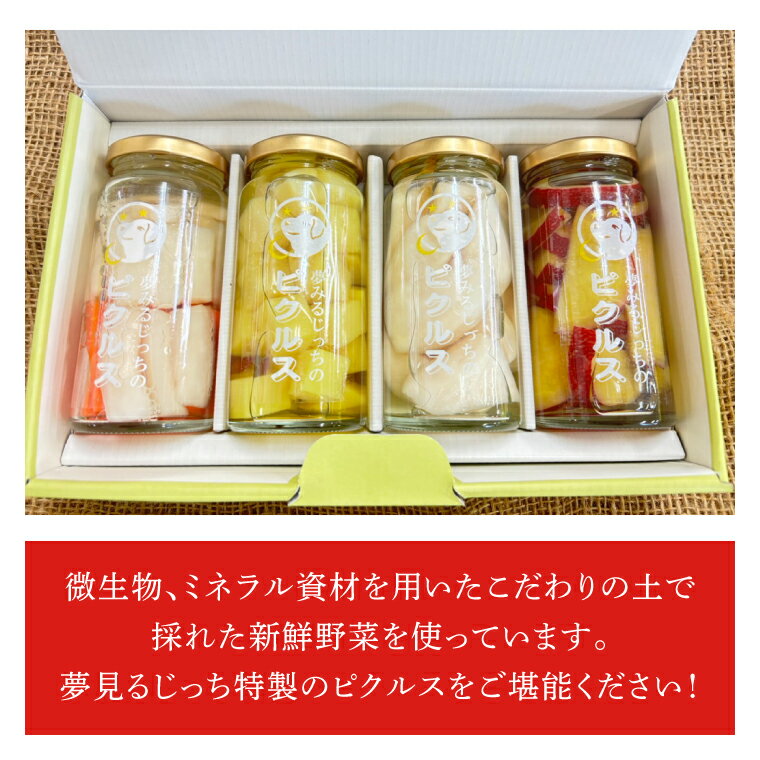 【ふるさと納税】【先行予約】【2024年4月中旬より発送】★月20セット限定★夢見るじっちのピクルス（おまかせ4本セット）（CN-13） - 画像2