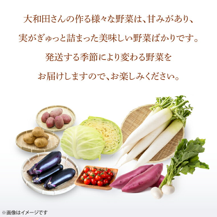 【ふるさと納税】【3ヶ月定期便】 夢見るじっちが作る季節の野菜セット 6～10種類入り1箱（CN-6） - 画像3