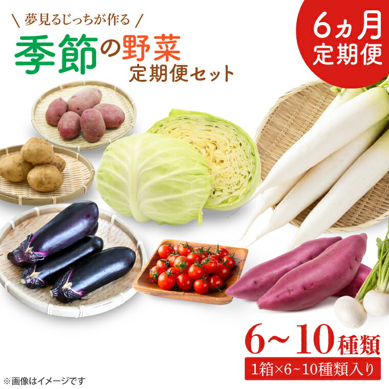 【6ヶ月定期便】 夢見るじっちが作る季節の野菜セット6～10種類入り1箱(CN-7)