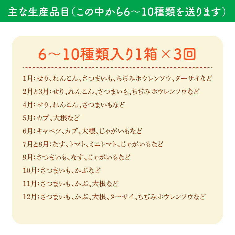 【ふるさと納税】【3ヶ月定期便】 夢見るじっちが作る季節の野菜セット 6～10種類入り1箱（CN-6） - 画像2