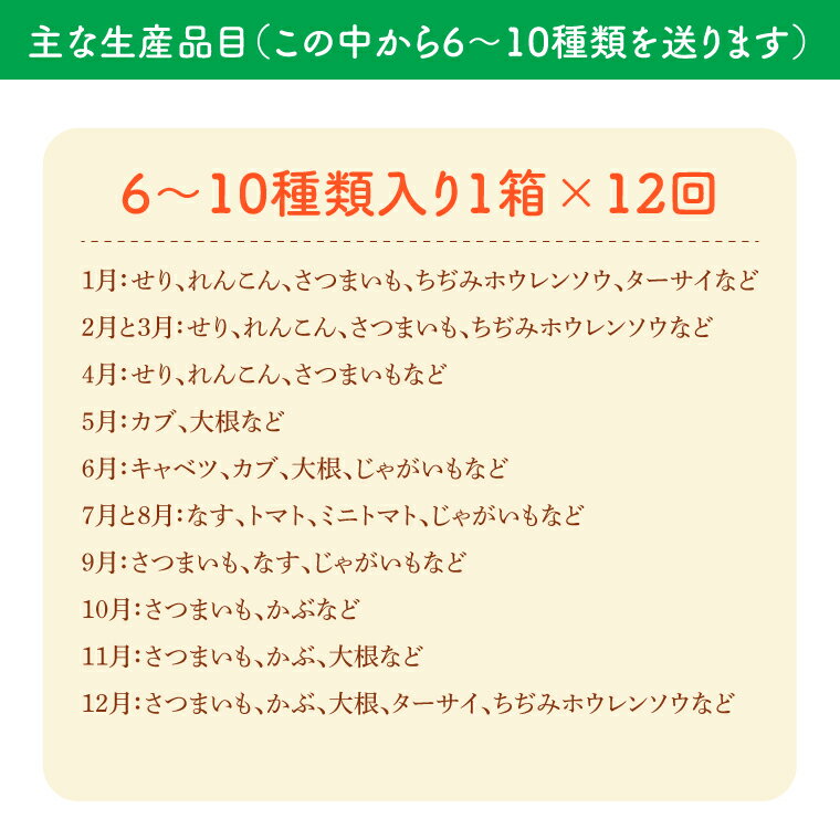【ふるさと納税】【12ヶ月定期便】夢見るじっちが作る季節の野菜セット　6～10種類入り1箱(CN-14) - 画像2