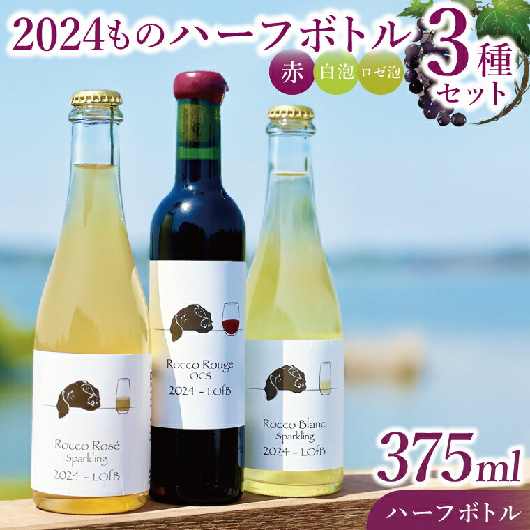 3種の2024ものハーフボトルセット～行方市内の自社畑ぶどう（2024年収穫）で醸造したワイン～｜ワイン ボトルワイン 酒 お酒 酒類 赤ワイン スパークリングワイン ボトル ぶどう セット ワインセット 茨城県 行方市(GQ-8)