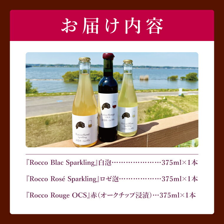 【ふるさと納税】3種の2024ものハーフボトルセット～行方市内の自社畑ぶどう（2024年収穫）で醸造したワイン～｜ワイン ボトルワイン 酒 お酒 酒類 赤ワイン スパークリングワイン ボトル ぶどう セット ワインセット 茨城県 行方市(GQ-8) サムネイル2