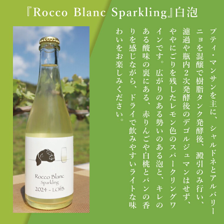 【ふるさと納税】3種の2024ものハーフボトルセット～行方市内の自社畑ぶどう（2024年収穫）で醸造したワイン～｜ワイン ボトルワイン 酒 お酒 酒類 赤ワイン スパークリングワイン ボトル ぶどう セット ワインセット 茨城県 行方市(GQ-8) サムネイル3
